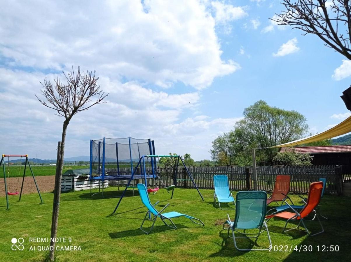 Lux Living Apartments Budic Near Terme Catez Brežice المظهر الخارجي الصورة
