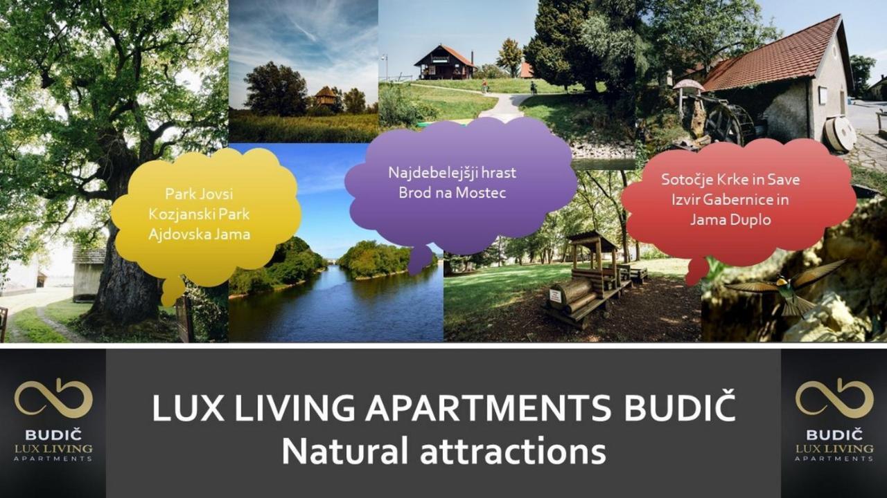 Lux Living Apartments Budic Near Terme Catez Brežice المظهر الخارجي الصورة